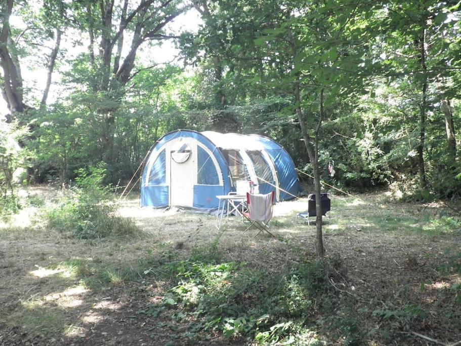 Hotel Le Bois Davy Le Thoureil Exterior foto