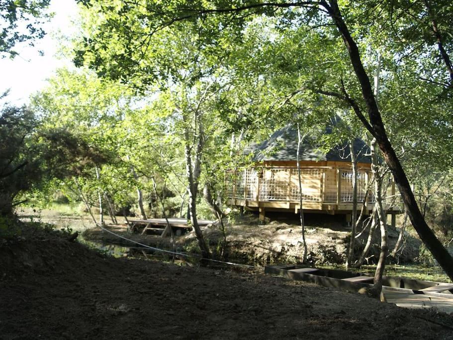Hotel Le Bois Davy Le Thoureil Exterior foto