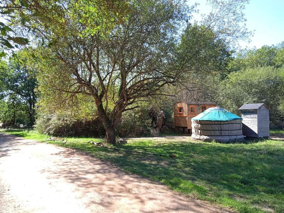 Hotel Le Bois Davy Le Thoureil Exterior foto