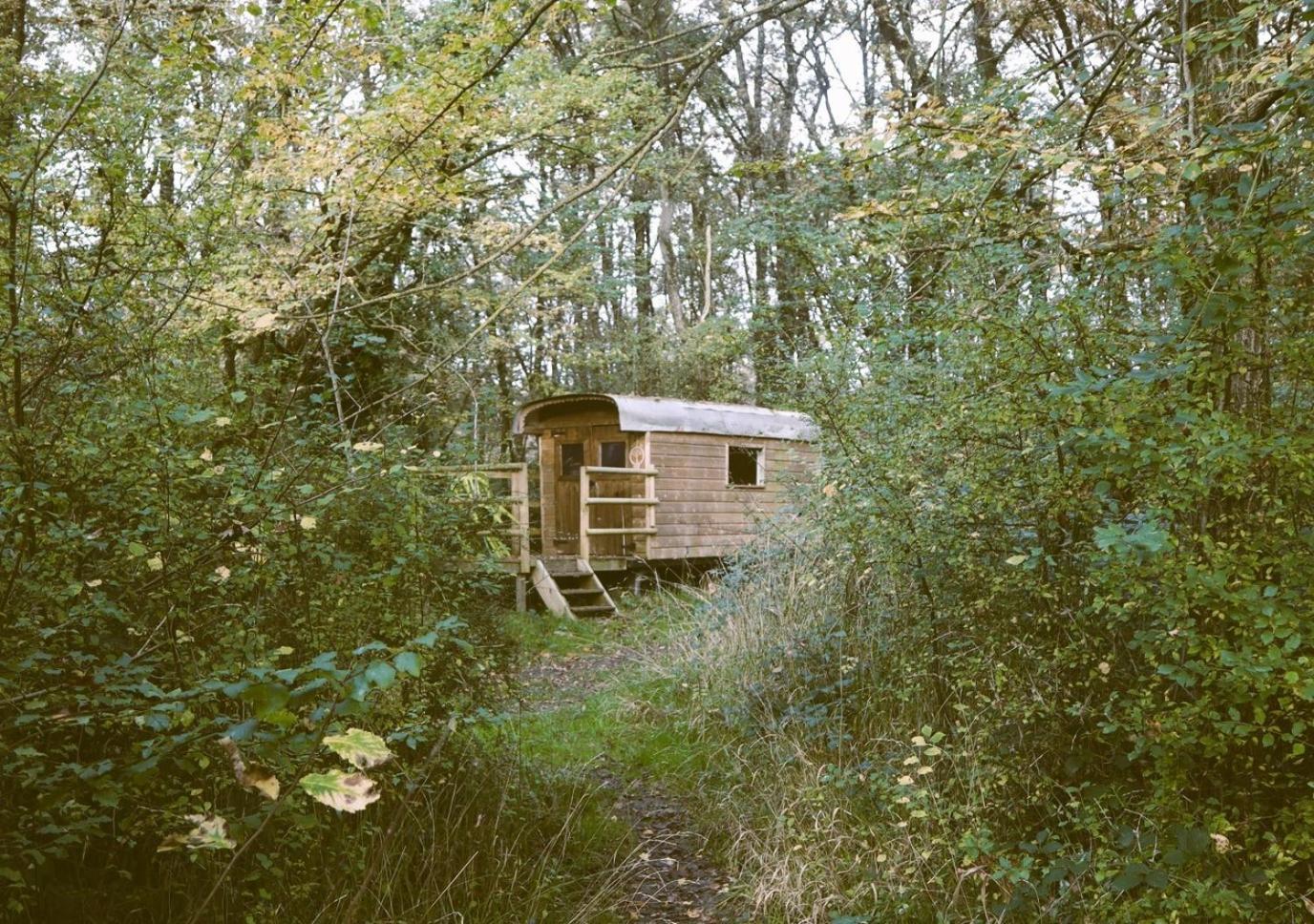 Hotel Le Bois Davy Le Thoureil Exterior foto